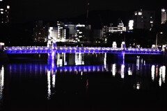 purple　bridge。。。！