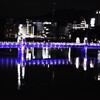 purple　bridge。。。！