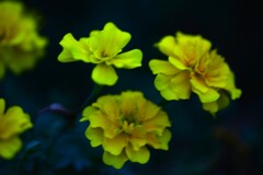 もの悲しくも強く ⑥。。。! もの悲しくも強く ⑥。。。!