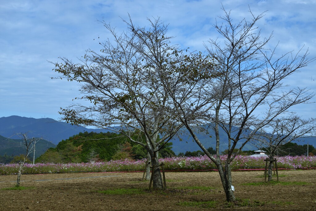 冬の予感　。。。！