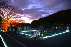 初冬の二の丸庭園　④。。。！