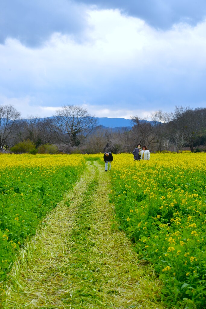 赤橋の下で　➂。。。！