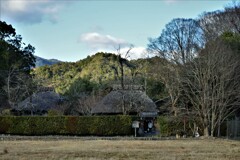 嵯峨野点描①。。。！