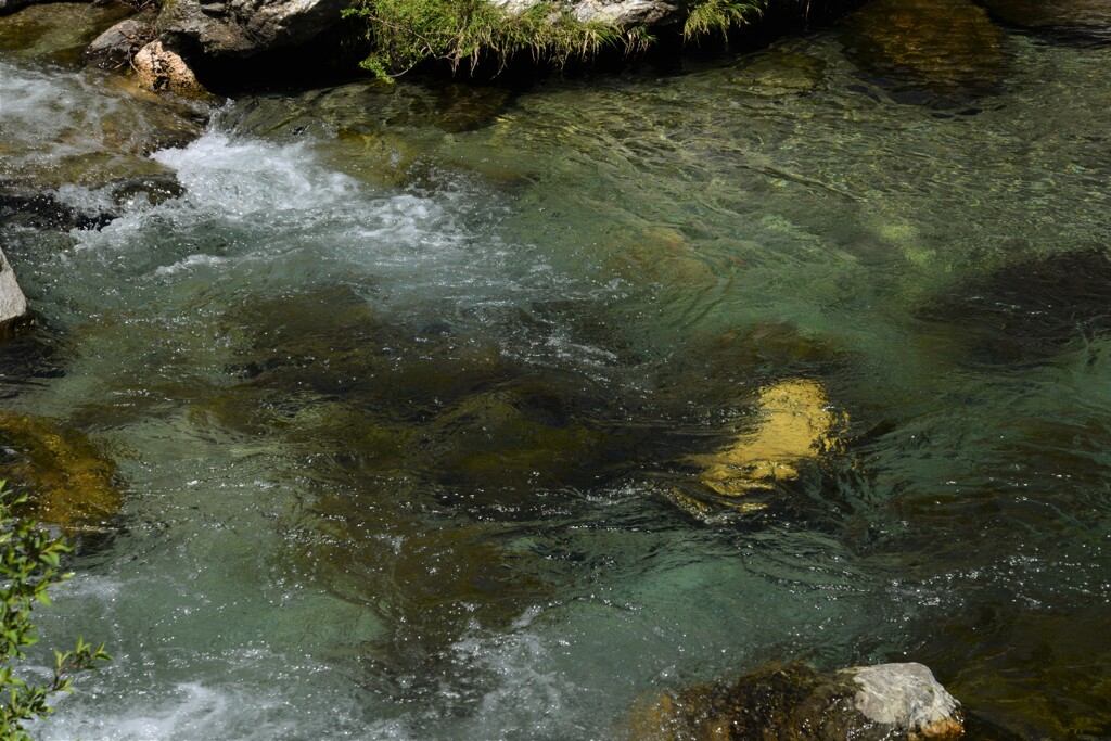 淀みない流れ。。。！