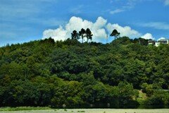 肱川湖畔の深緑。。。！