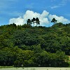 肱川湖畔の深緑。。。！