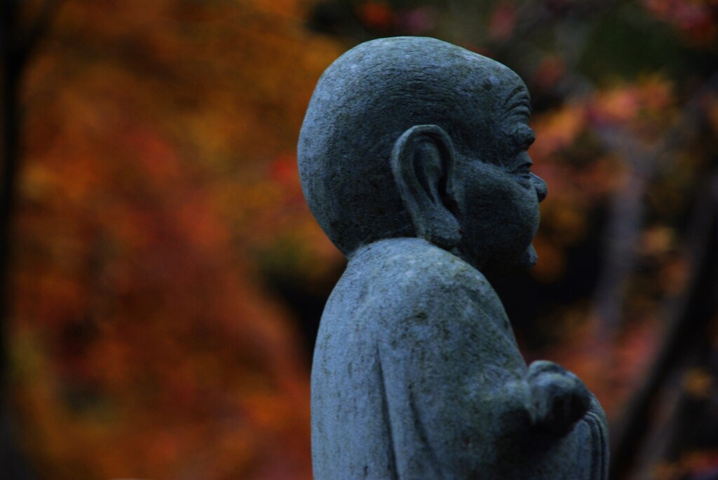 五百羅漢と刹那の秋　➂。。。！