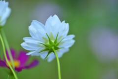 この秋をありがとう　➂。。。！