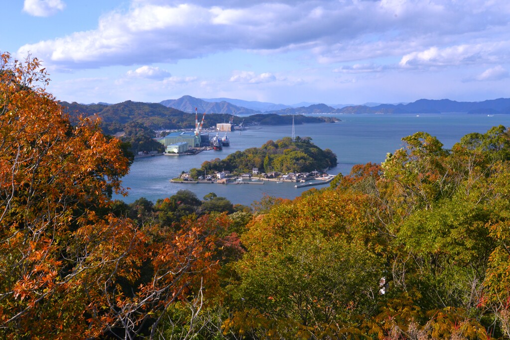 秋染まる来島海峡　➂。。。！