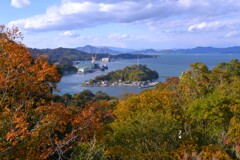 秋染まる来島海峡　➂。。。！