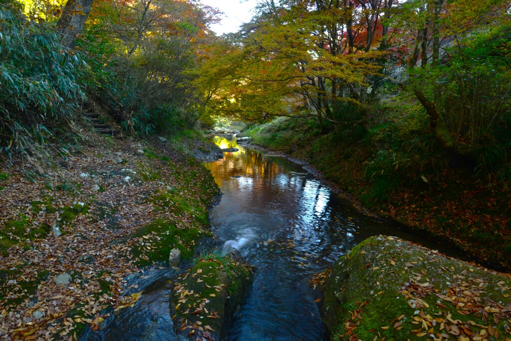 谷間の紅葉　➂。。。！