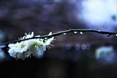寄り添って耐える。。。！