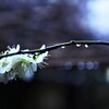 寄り添って耐える。。。！