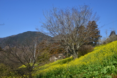 春を楽しむ　⑥。。。！