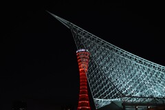 夜空を突き刺す　。。。！