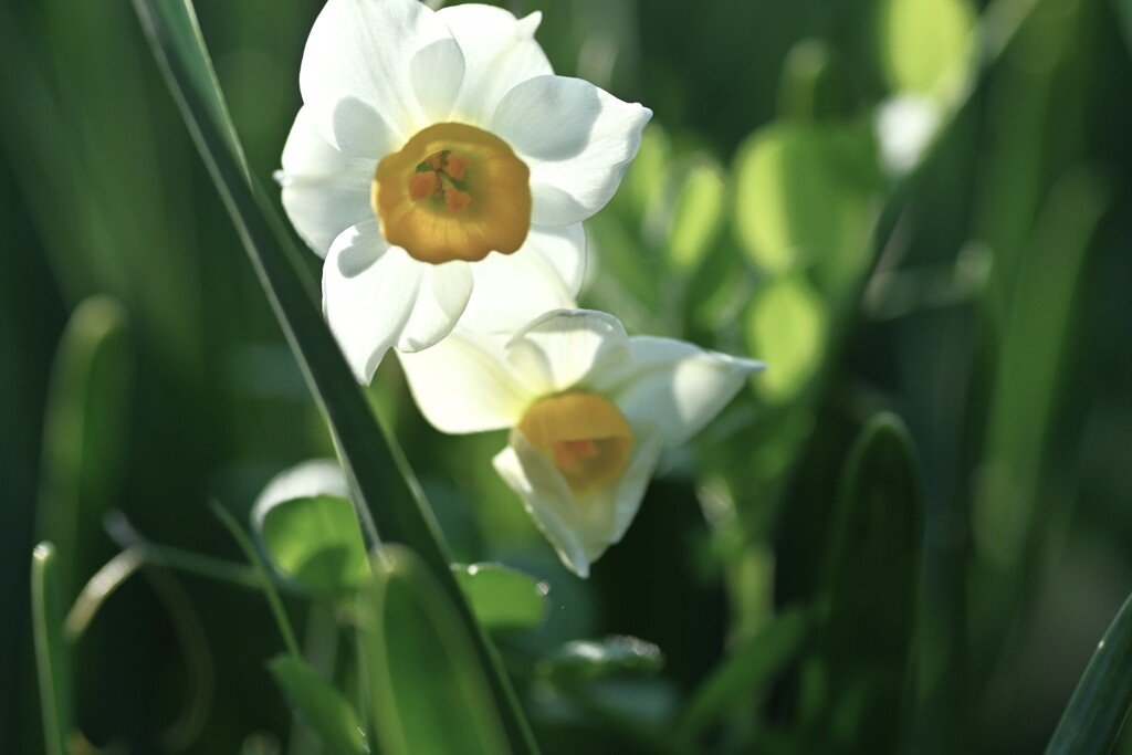 冬の光の中で　④。。。！