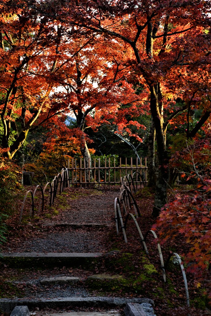 錦絵の古都【等持院編】　⑥