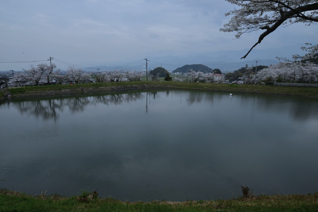 薄紅に染まる寺　➂。。。！