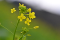 双海シーサイド公園　➁。。。！