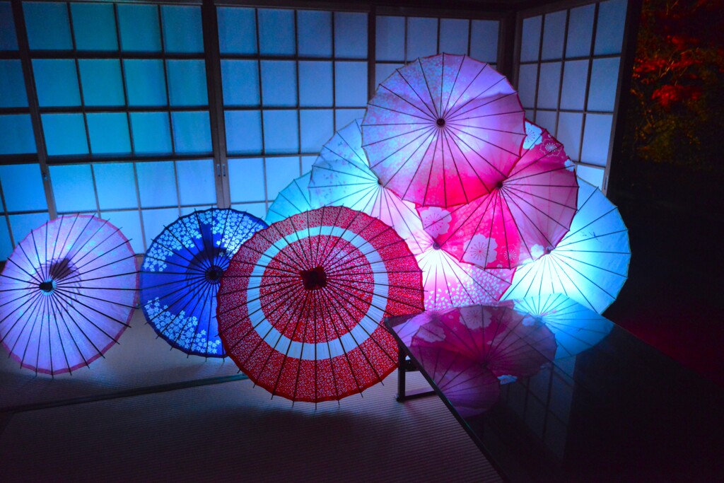 秋の夜桜　。。。！