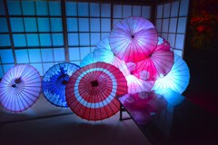 秋の夜桜　。。。！