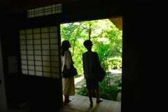 和の心に浸る　➂。。。！
