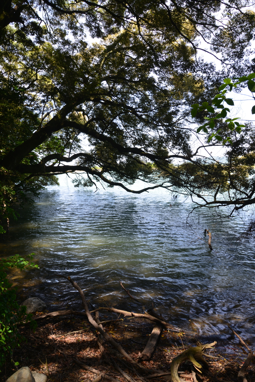 謎めく湖水　②。。。！