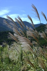 秋風の山里　①。。。！