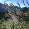 秋風の山里　①。。。！