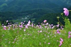 山里の秋は早足。。。！