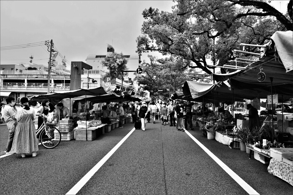 土佐の日曜市　①。。。！