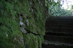 苔むす石段に残る。。。！