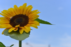 夏の恋人　⑤。。。！