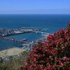 伊予長浜．．赤橋　➂。。。！