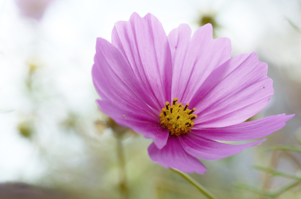 秋の宅配便　③　。。。！