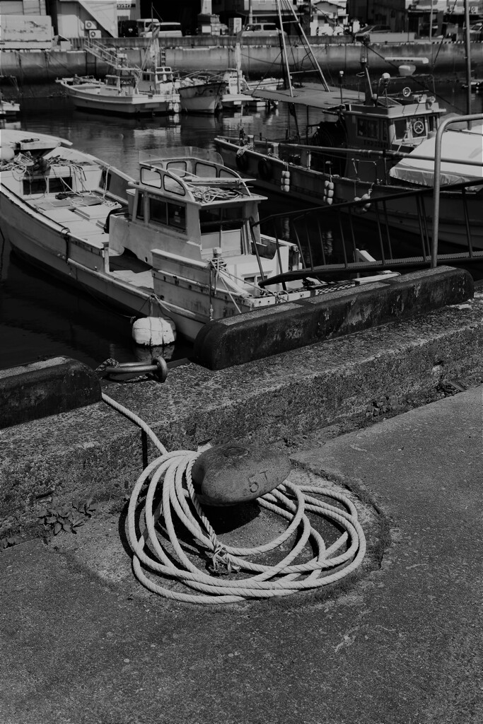 海辺の町　⑥。。。！