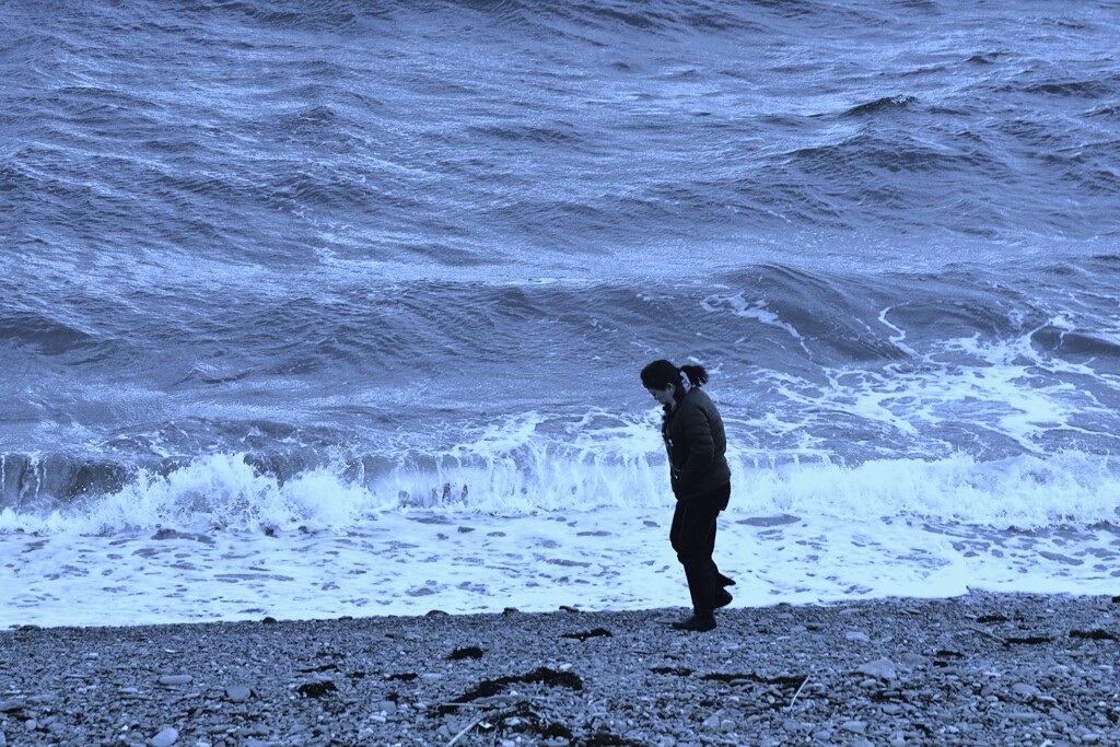 冬が来る前に　。。。！