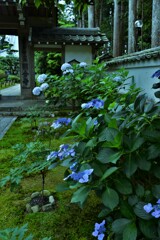 こころの休息　②。。。！