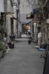 路地裏物語．．負け猫の遠声　④。。。！