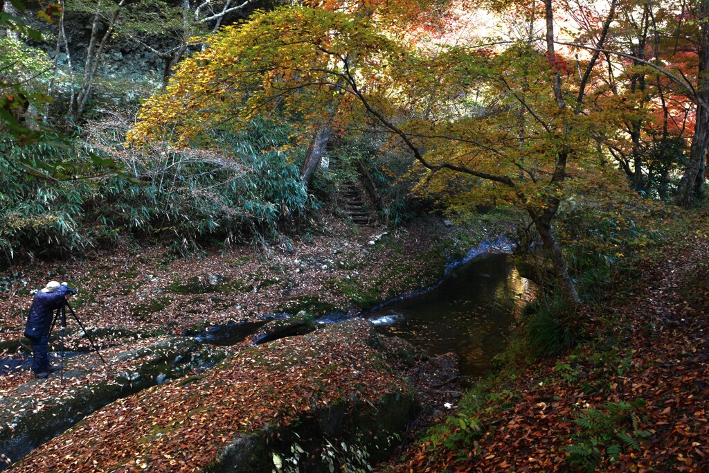 秋のぬすびと　②。。。！