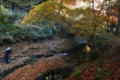 秋のぬすびと　②。。。！