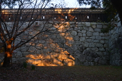 秋暮れの二の丸城門　➂。。。！