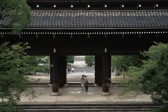 知恩院山門　①。。。！
