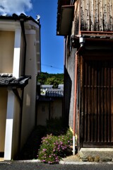 里の秋は駆ける。。。！