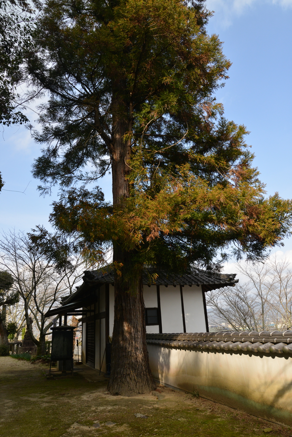 山寺に参る　➁。。。！