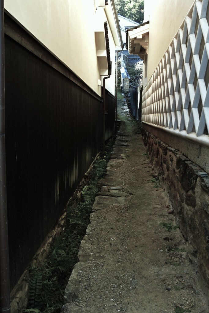 長閑な町．．　➂。。。！