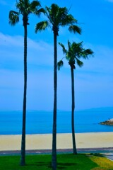 夏が来る　①。。。！