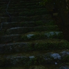 苔むす石畳。。。！