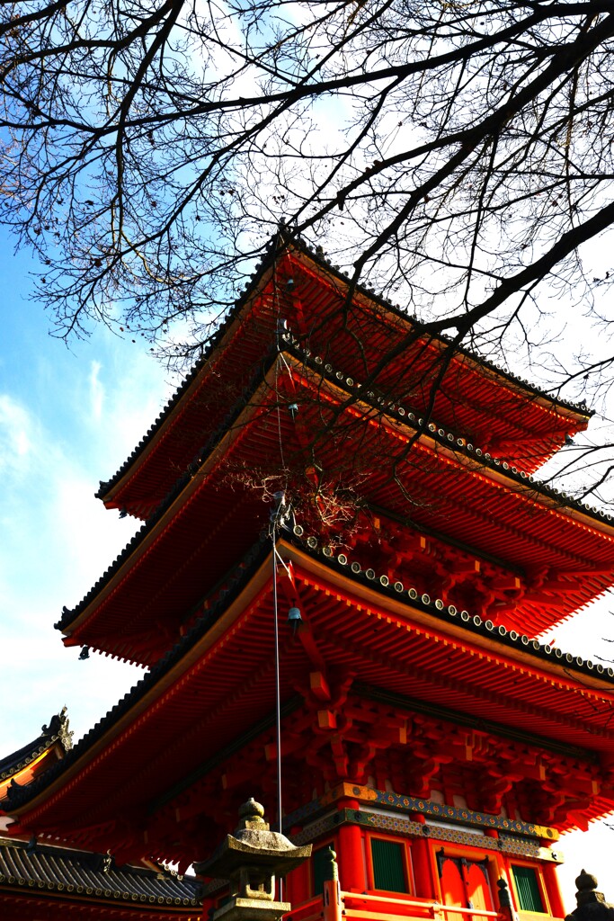 ゆく年を惜しむ　in　清水寺　①。。。！