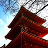 ゆく年を惜しむ　in　清水寺　①。。。！